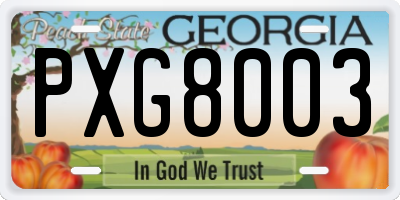 GA license plate PXG8003