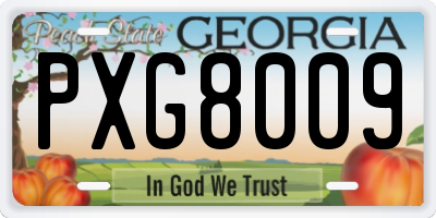 GA license plate PXG8009