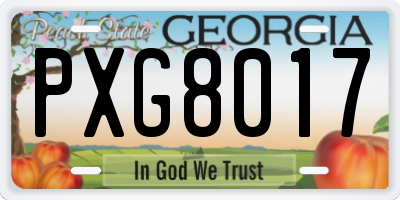 GA license plate PXG8017