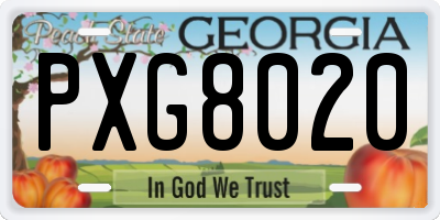 GA license plate PXG8020