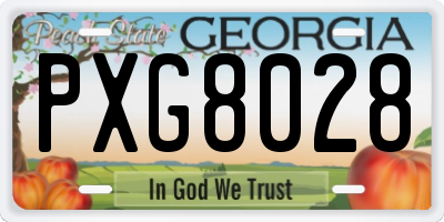 GA license plate PXG8028