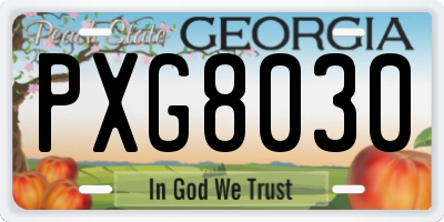 GA license plate PXG8030