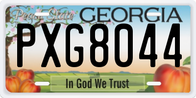 GA license plate PXG8044