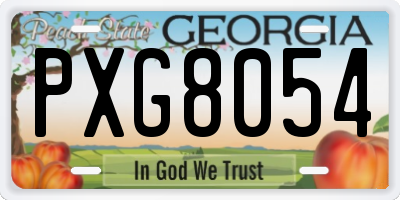 GA license plate PXG8054