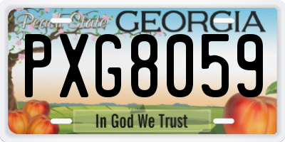 GA license plate PXG8059