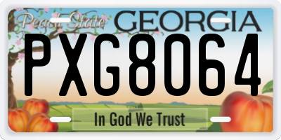 GA license plate PXG8064