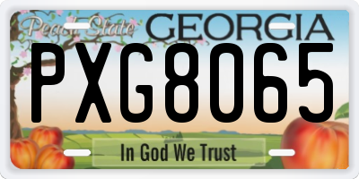 GA license plate PXG8065