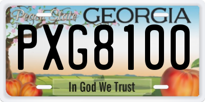 GA license plate PXG8100