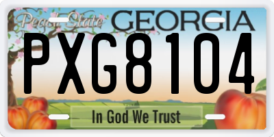 GA license plate PXG8104