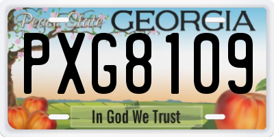 GA license plate PXG8109