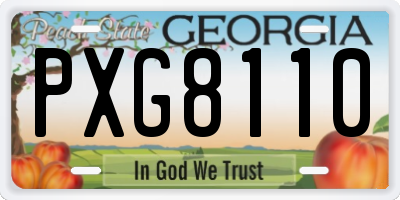 GA license plate PXG8110