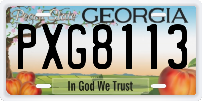 GA license plate PXG8113