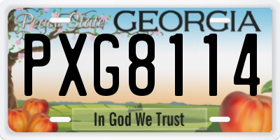 GA license plate PXG8114