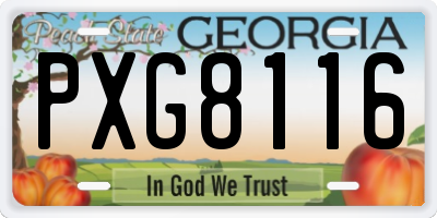 GA license plate PXG8116