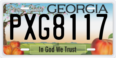GA license plate PXG8117