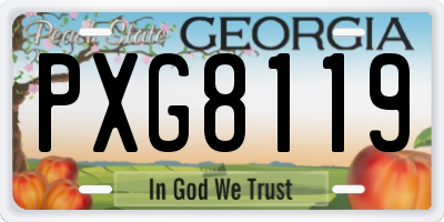 GA license plate PXG8119