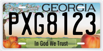 GA license plate PXG8123