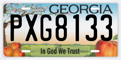 GA license plate PXG8133