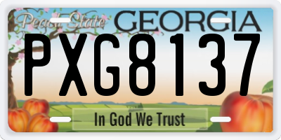 GA license plate PXG8137