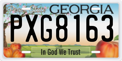 GA license plate PXG8163