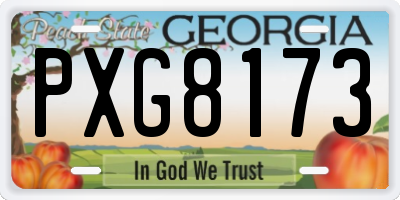 GA license plate PXG8173