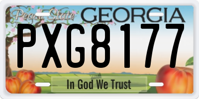 GA license plate PXG8177