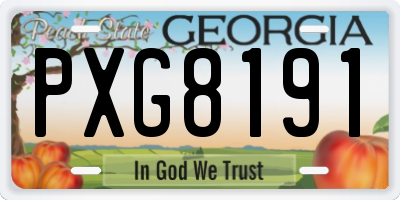 GA license plate PXG8191