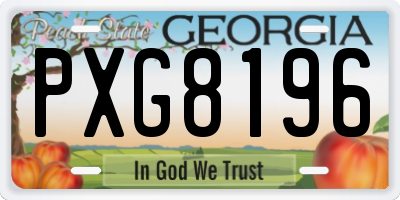 GA license plate PXG8196