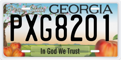 GA license plate PXG8201