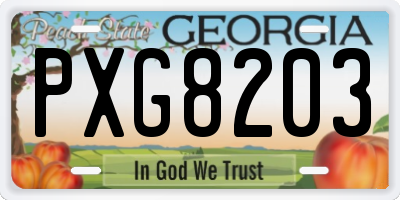 GA license plate PXG8203