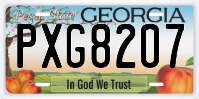 GA license plate PXG8207