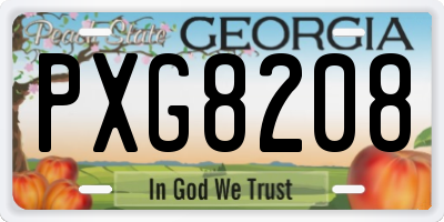 GA license plate PXG8208