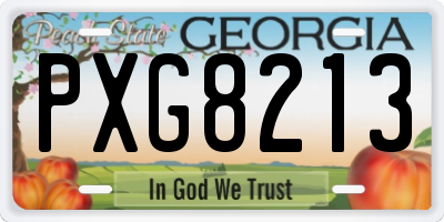 GA license plate PXG8213