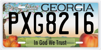 GA license plate PXG8216