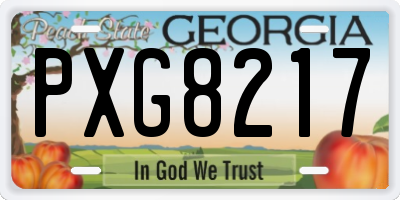 GA license plate PXG8217