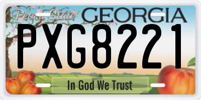 GA license plate PXG8221