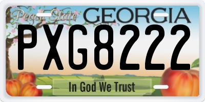 GA license plate PXG8222