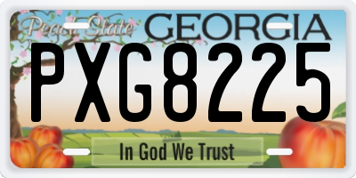 GA license plate PXG8225