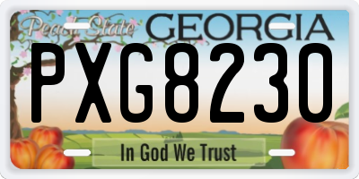 GA license plate PXG8230