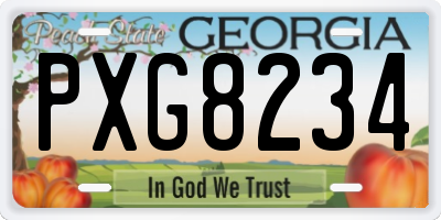 GA license plate PXG8234
