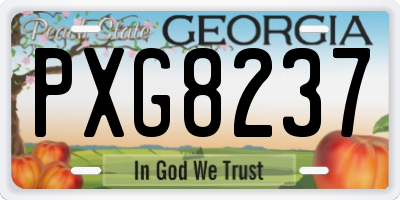 GA license plate PXG8237