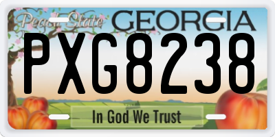 GA license plate PXG8238