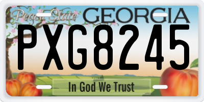 GA license plate PXG8245