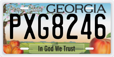 GA license plate PXG8246