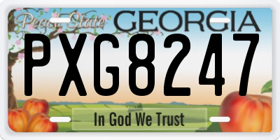 GA license plate PXG8247