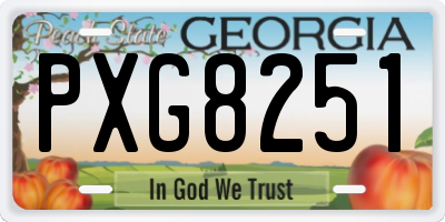 GA license plate PXG8251