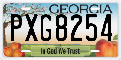 GA license plate PXG8254
