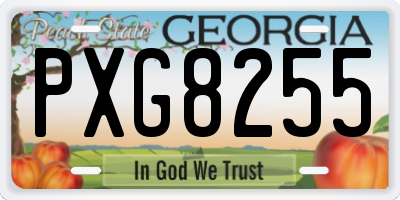 GA license plate PXG8255