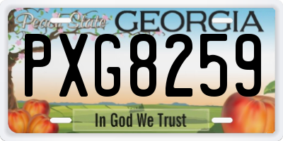 GA license plate PXG8259