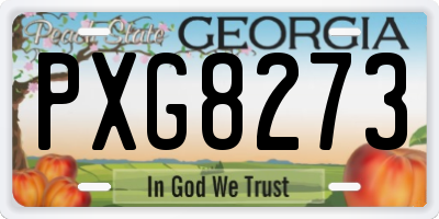 GA license plate PXG8273